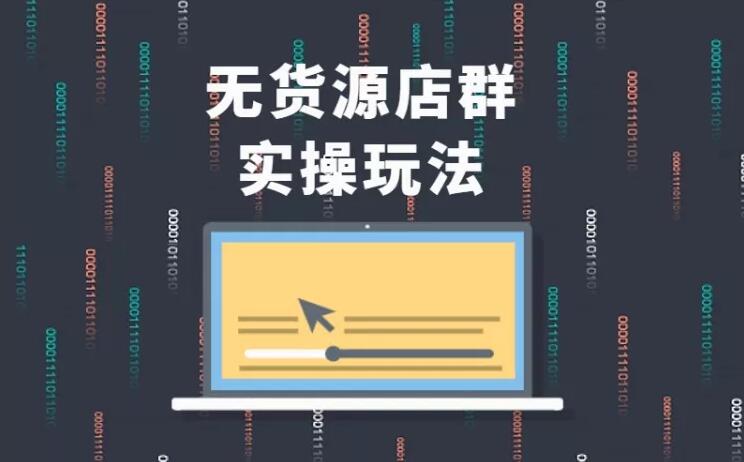 无货源店群实操玩法，蓝海选品的独特思路，店群软件操作方法（45节视频课）-电脑资源自留地