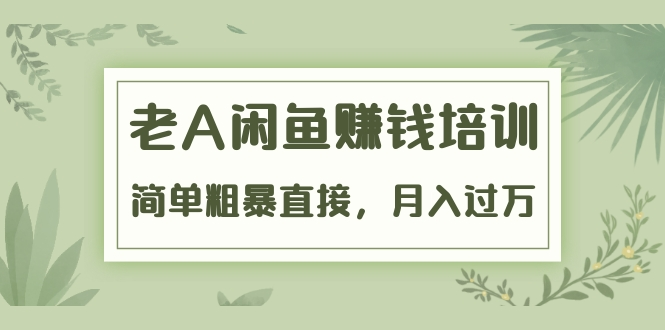 《老A闲鱼赚钱培训》简单粗暴直接，月入过万真正的闲鱼战术实课（51节课）-电脑资源自留地