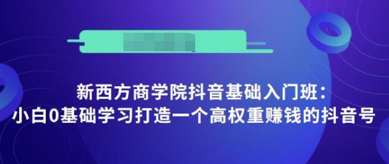 抖音基础入门班：小白0基础学习打造一个高权重赚钱的抖音号-电脑资源自留地