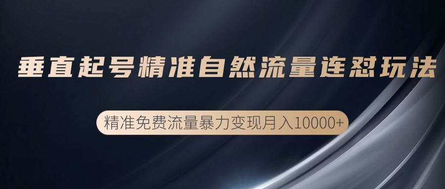 垂直起号精准自然流量连爆玩法，精准引流暴力变现月入10000+-电脑资源自留地