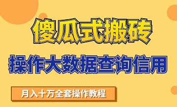 搬砖操作大数据查询信用项目赚钱教程，祝你快速月入6万-电脑资源自留地