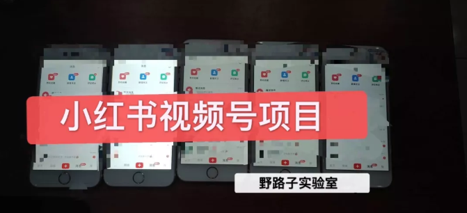 野路子小红书视频号1.0项目，直接上手操作就能赚钱的视频号项目-电脑资源自留地
