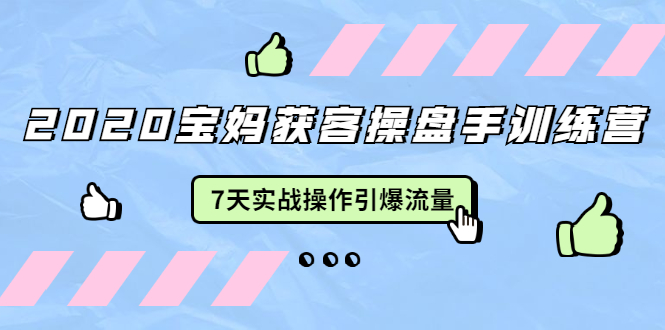 2020宝妈获客操盘手训练营：7天实战操作引爆 母婴、都市、购物宝妈流量-电脑资源自留地