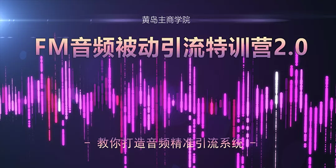 黄岛主·FM音频引流特训营2.0：独家引流模式，单账号50W+播放量，轻松变现-电脑资源自留地