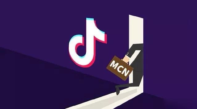 抖音MCN孵化课程，帮助商家拓客，帮助达人更好变现的课程，从0基础到超级IP-电脑资源自留地