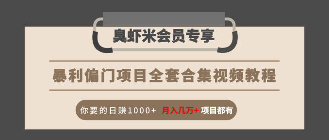 暴利偏门项目全套合集视频教程：你要的日赚1000+月入几万+项目都有-电脑资源自留地