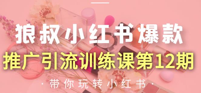 狼叔小红书爆款推广引流训练课第12期，手把手带你玩转小红书-电脑资源自留地