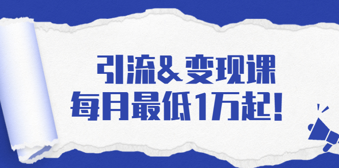 引流&变现课：分享一整套流量方法以及各个渠道收入，每月最低1万起！-电脑资源自留地
