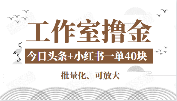 工作室撸金二件套：撸今日头条原创收益+小红书一单利润40块项目-电脑资源自留地