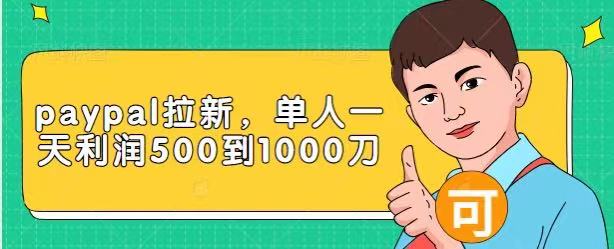 Paypal拉新赚美刀项目，单人一天利润500-1000刀【视频课程】-电脑资源自留地