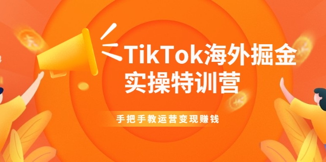 TikTok海外掘金实操特训营：手把手教运营变现赚钱-电脑资源自留地