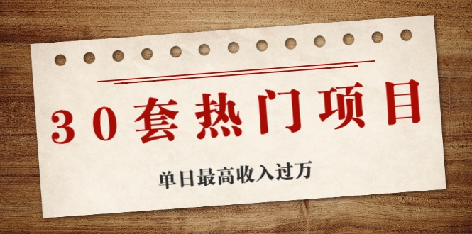 30套热门项目：单日最高收入过万 (网赚项目、朋友圈、涨粉套路、抖音、快手)等-电脑资源自留地