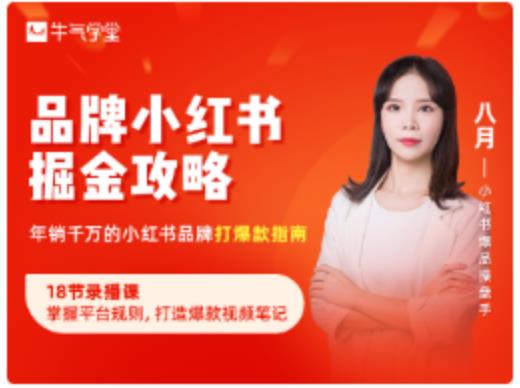 品牌小红书掘金攻略，年销千万的小红书品牌打爆款指南-电脑资源自留地