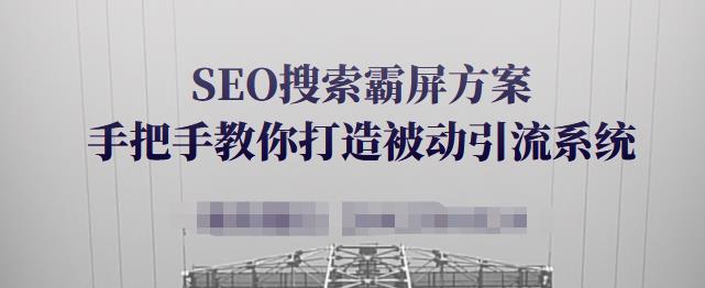 SEO搜索霸屏方案，手把手教你打造被动引流系统【视频课程】-电脑资源自留地