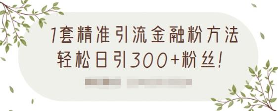 1套精准引流金融粉方法，轻松日引300+粉丝-电脑资源自留地