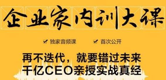 企业家内训大课，未来企业必学经验，价值1299元-电脑资源自留地