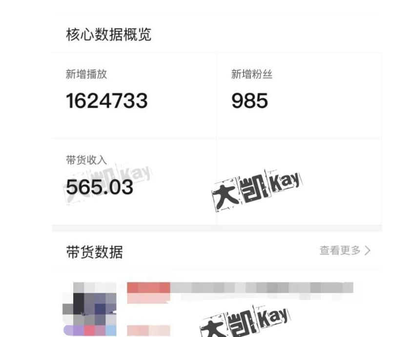 大凯进阶圈新玩法之拼多多视频玩法，利润大概一个号一天能有500~1500的左右!-电脑资源自留地