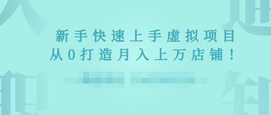 2022年虚拟项目实战指南，新手从0打造月入上万店铺-电脑资源自留地