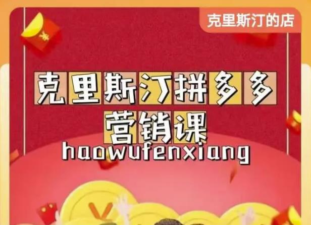 克里斯汀拼多多运营课，适合小白初涉平台，低成本入门-电脑资源自留地