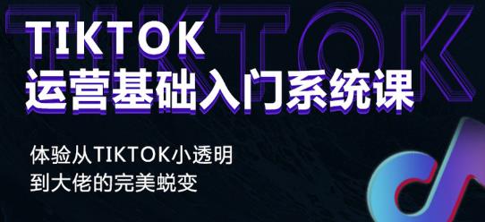 Tiktok实操进阶课程，体验从tiktok小透明到大佬的完美蜕变-电脑资源自留地