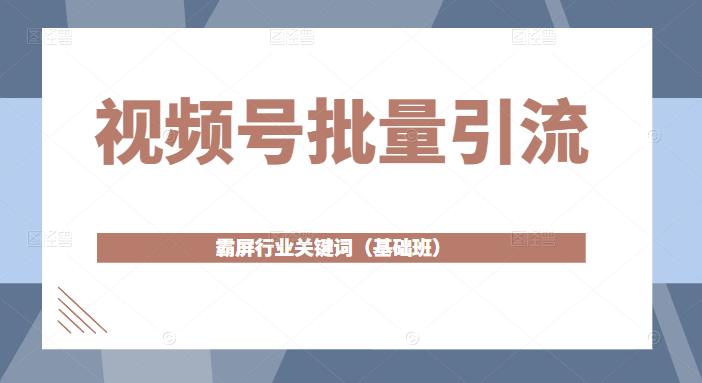 视频号批量引流，霸屏行业关键词（基础班）全面系统讲解视频号玩法-电脑资源自留地