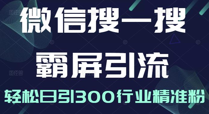 微信搜一搜霸屏引流课，打造被动精准引流系统，轻松日引300行业精准粉-电脑资源自留地