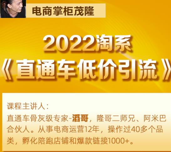 茂隆2022直通车低价引流玩法，教大家如何低投入高回报的直通车玩法-电脑资源自留地