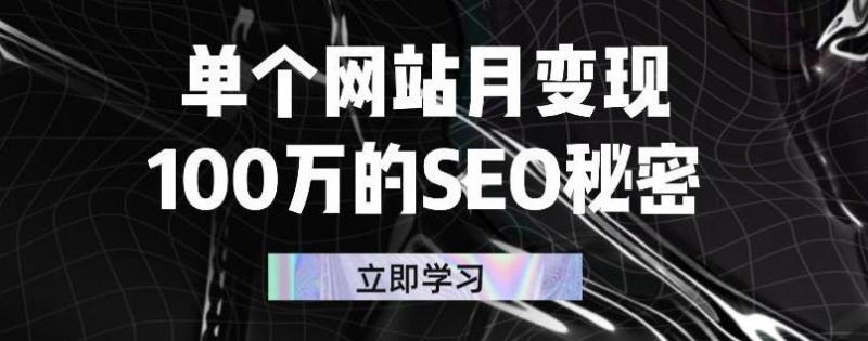 单个网站月变现100万的SEO秘密，百分百做出赚钱站点-电脑资源自留地
