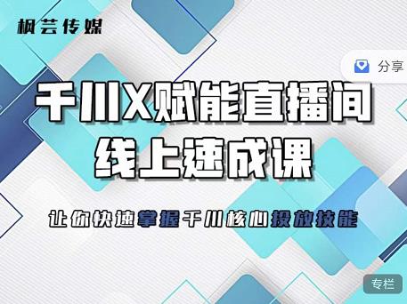 枫芸传媒-线上千川提升课，提升千川认知，提升千川投放效果-电脑资源自留地