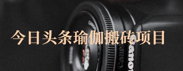 猎人社区·今日头条瑜伽搬砖项目，单号一天几十收入，可以批量操作！-电脑资源自留地