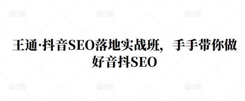 王通·抖音SEO落地实战班，手‬手带你做好音抖‬‬SEO-电脑资源自留地