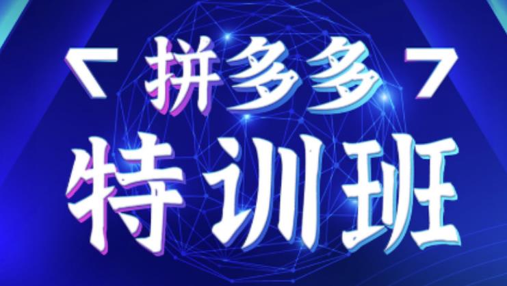 星雪教育·拼多多基础班+进阶班+突破班，用系统的学习模式快速改变现状价值3580元-电脑资源自留地