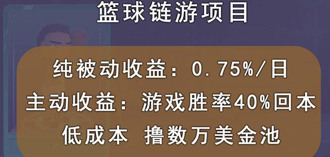 国外区块链篮球游戏项目，前期加入秒回本，被动收益日0.75%，撸数万美金-电脑资源自留地