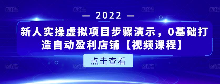 新人实操虚拟项目步骤演示，0基础打造自动盈利店铺【视频课程】-电脑资源自留地