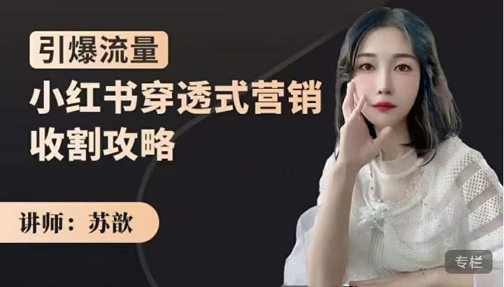 苏歆：小红书穿透式营销收割攻略，引爆流量，助你玩转小红书-电脑资源自留地