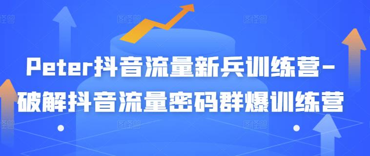 Peter抖音流量新兵训练营-破解抖音流量密码群爆训练营（新兵）-电脑资源自留地