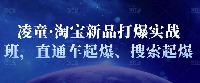 凌童·淘宝新品打爆实战班，直通车起爆、搜索起爆-电脑资源自留地