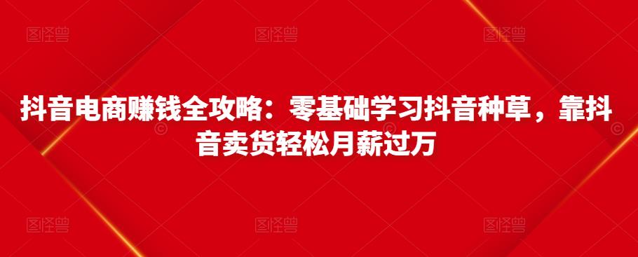 抖音电商赚钱全攻略：零基础学习抖音种草，靠抖音卖货轻松月薪过万-电脑资源自留地