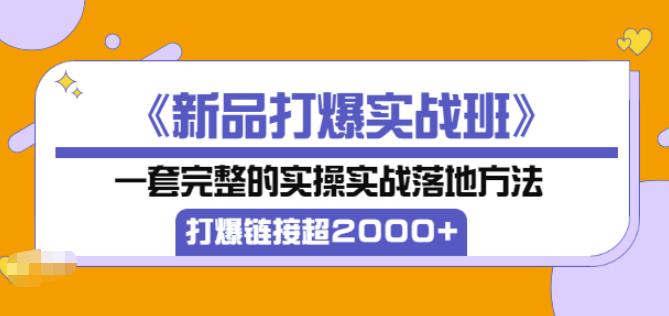 凌童《新品打爆实战班》,一套完整的实操实战落地方法，打爆链接超2000+（28节课)-电脑资源自留地