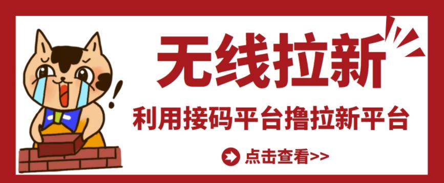 最新接码无限拉新项目，利用接码平台赚拉新平台差价，轻松日赚500+-电脑资源自留地