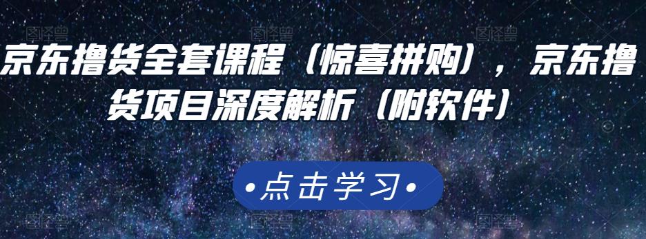 京东撸货全套课程（惊喜拼购），京东撸货项目深度解析（附软件）-电脑资源自留地