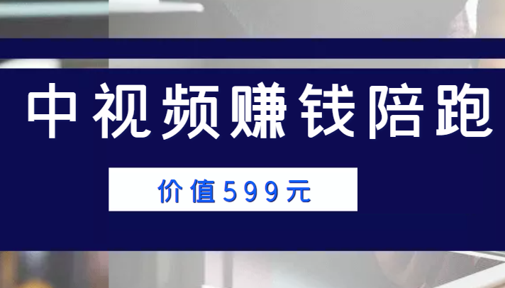 中视频赚钱陪跑，卖中视频账户赚钱收益陪跑项目（价值599元）-电脑资源自留地