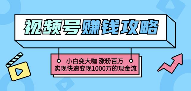 玩转微信视频号赚钱：小白变大咖涨粉百万实现快速变现1000万的现金流-电脑资源自留地