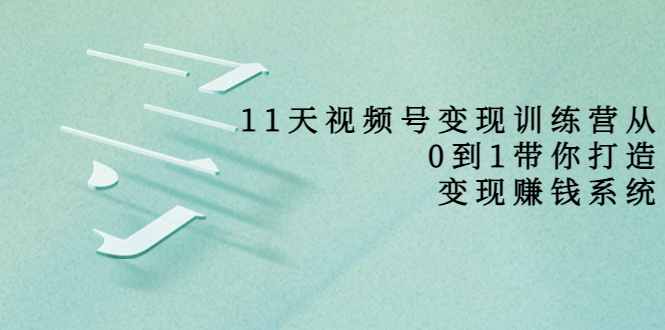 11天视频号变现训练营，从0到1打造变现赚钱系统（价值398元）-电脑资源自留地
