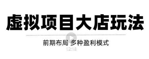 虚拟项目月入几万大店玩法分享，多店操作利润倍增（快速起店盈利）-电脑资源自留地
