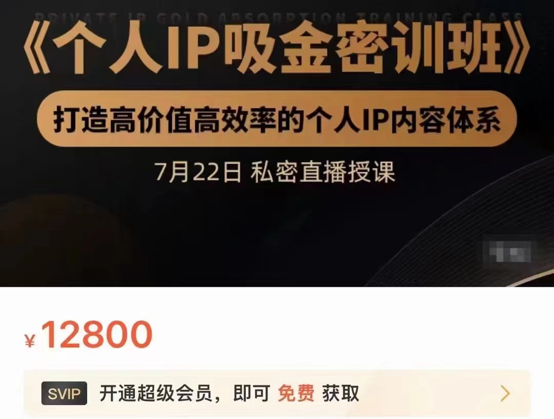 个人IP吸金密训班，打造高价值高效率的个人IP内容体系（价值12800元）-电脑资源自留地