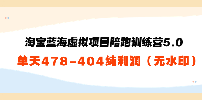 淘宝蓝海虚拟项目陪跑训练营5.0：单天478纯利润-电脑资源自留地