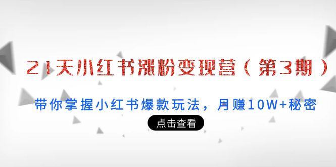 21天小红书涨粉变现营（第3期）：带你掌握小红书爆款玩法，月赚10W+秘密-电脑资源自留地