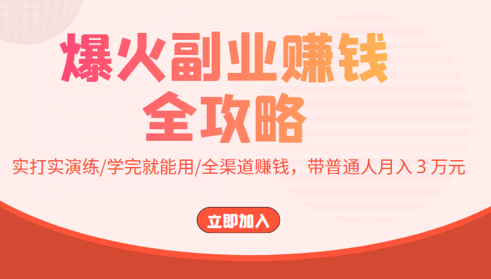 爆火副业赚钱全攻略：实打实演练/学完就能用/全渠道赚钱，带普通人月入３万元-电脑资源自留地