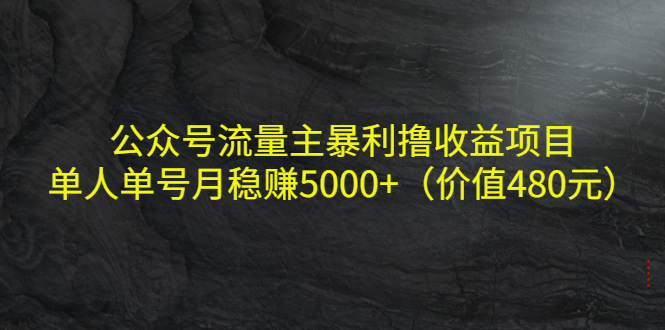 公众号流量主暴利撸收益项目，单人单号月稳赚5000+（价值480元）-电脑资源自留地